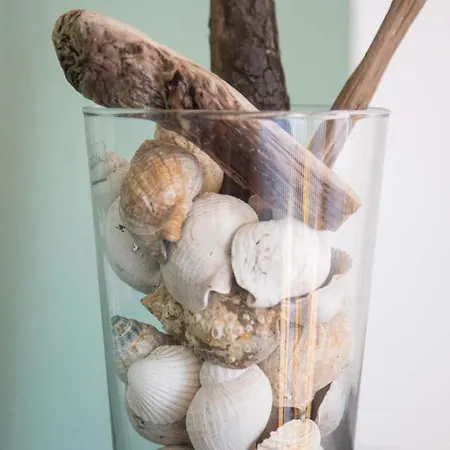 Haus Timpe Whg 2 Apartment *